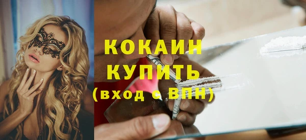 соль ск Арсеньев
