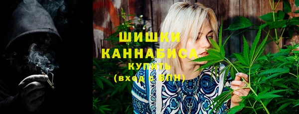 ПСИЛОЦИБИНОВЫЕ ГРИБЫ Аркадак