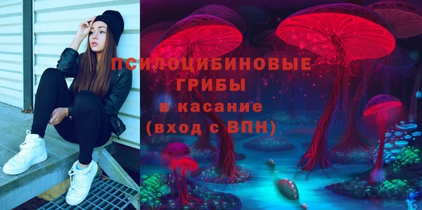 соль ск Арсеньев